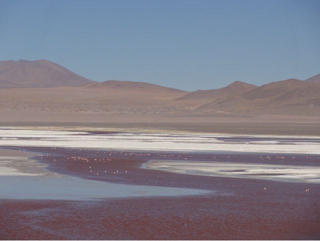 Bolivian salt flats, flamingos and coloured lagoons