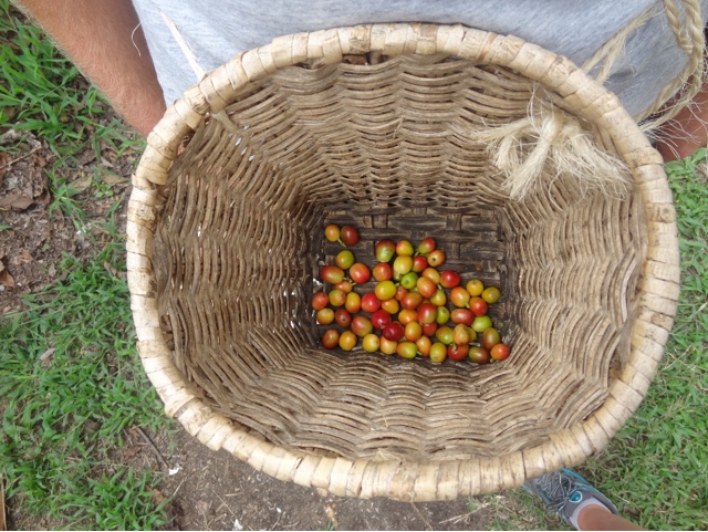 Don’t drink the coffee in Colombia